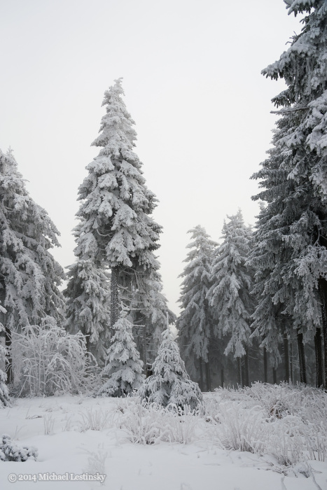 Harz im Erzgebirge 2014 (16/23) (Image 16/23)