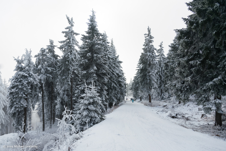Harz im Erzgebirge 2014 (18/23) (Image 18/23)
