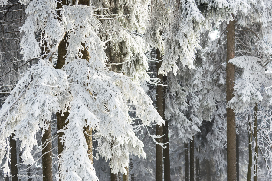 Harz im Erzgebirge 2014 (19/23) (Image 19/23)