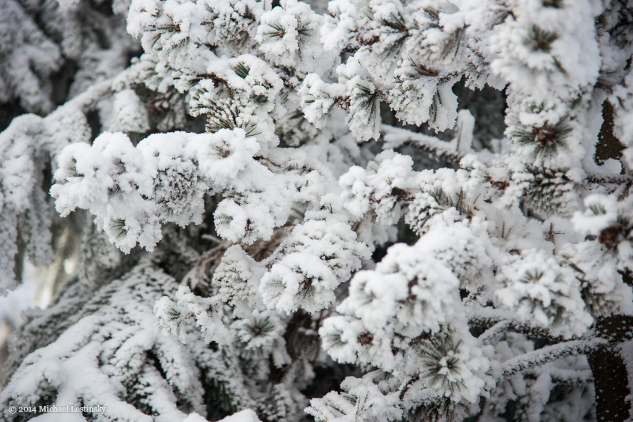Harz im Erzgebirge 2014 (20/23) (Image 20/23)