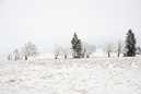Harz im Erzgebirge 2014: 899x600, 204KB