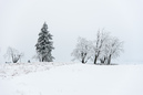 Harz im Erzgebirge 2014: 899x600, 140KB