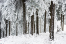 Harz im Erzgebirge 2014: 899x600, 396KB
