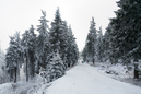 Harz im Erzgebirge 2014: 899x600, 308KB
