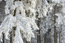 Harz im Erzgebirge 2014: 899x600, 424KB