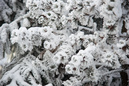 Harz im Erzgebirge 2014: 899x600, 328KB