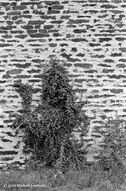 Mosel6 (10/25) (Image 10/25)
