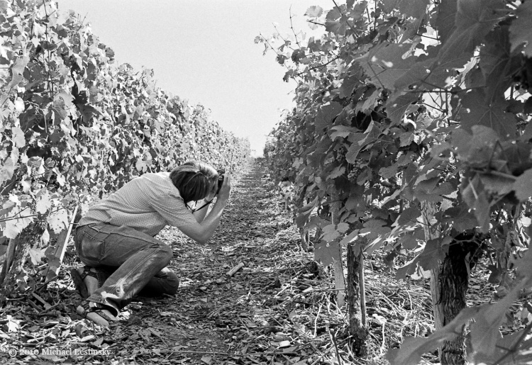 Mosel6 (21/25) (Image 21/25)