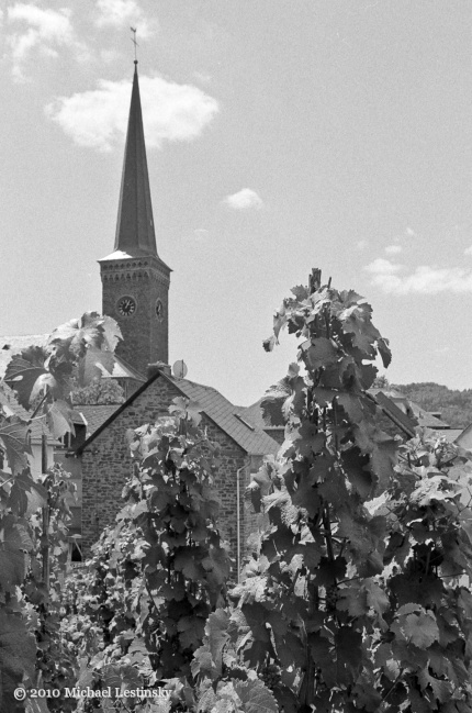 Mosel6 (23/25) (Image 23/25)