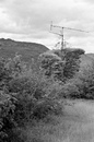 Mosel6: 430x649, 308KB