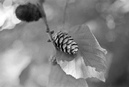 Mosel6: 750x504, 268KB