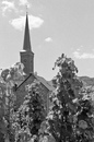 Mosel6: 430x649, 280KB