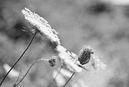 Mosel6: 750x504, 304KB